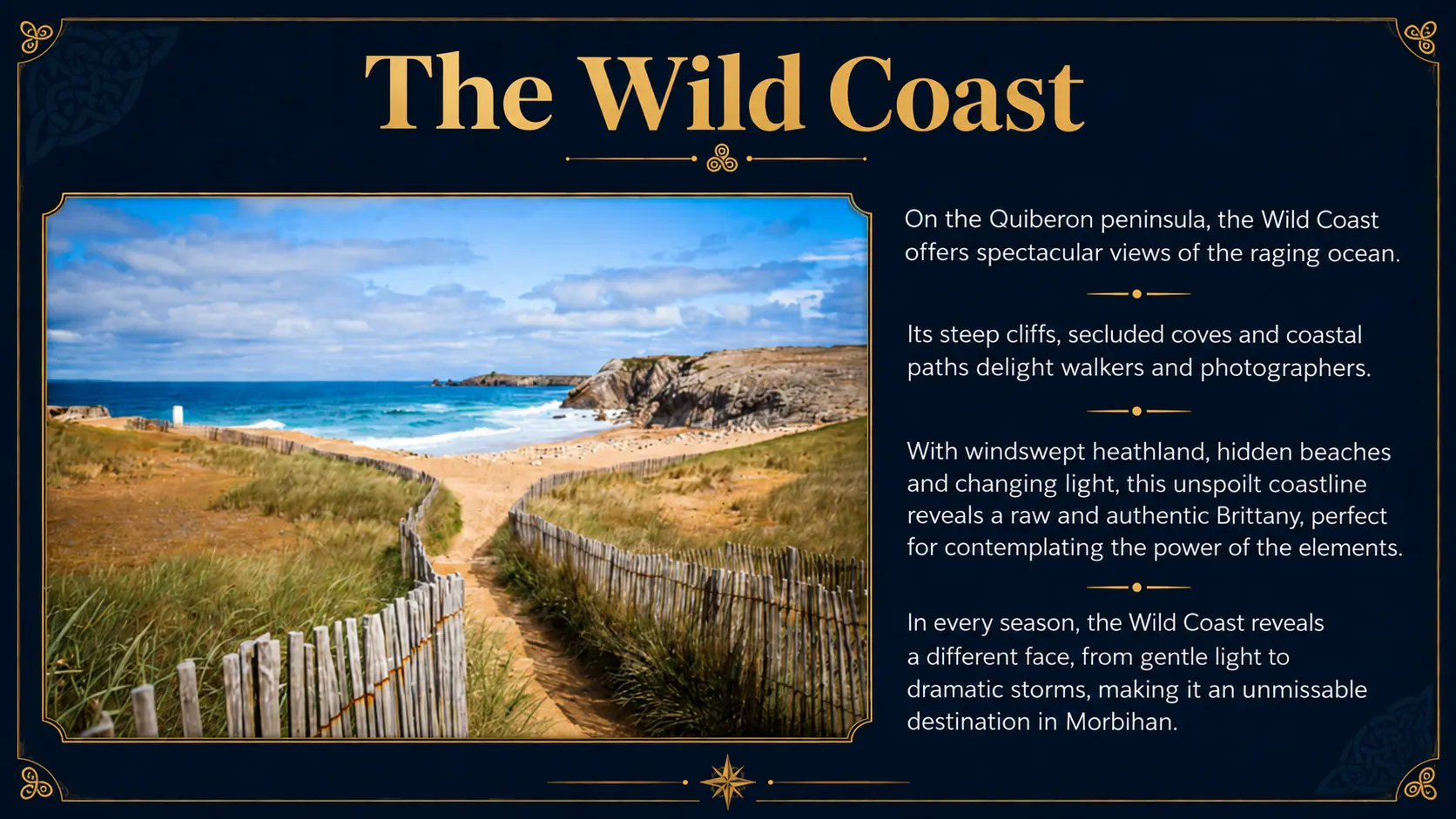The Wild Coast